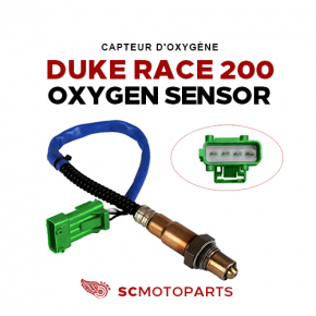 Oxygen Sensor