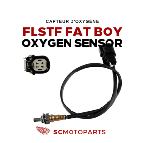 Oxygen Sensor