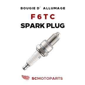 F6TC Spark Plug